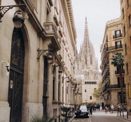 WhatsApp Image 2026-01-04 at 14.35.28 WhatsApp Image 2026-01-04 at 14.35.28